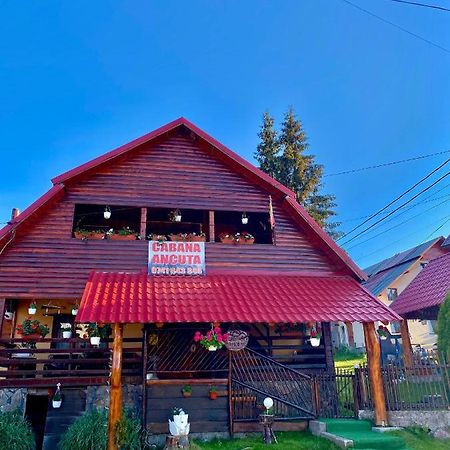 沃尔托普 Cabana Ancuta酒店 外观 照片