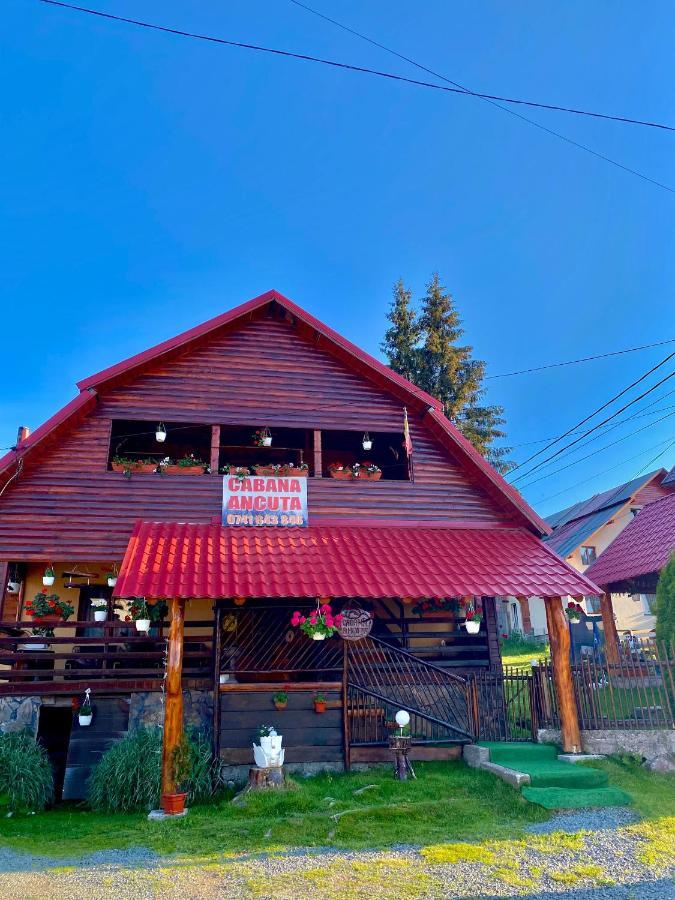 沃尔托普 Cabana Ancuta酒店 外观 照片
